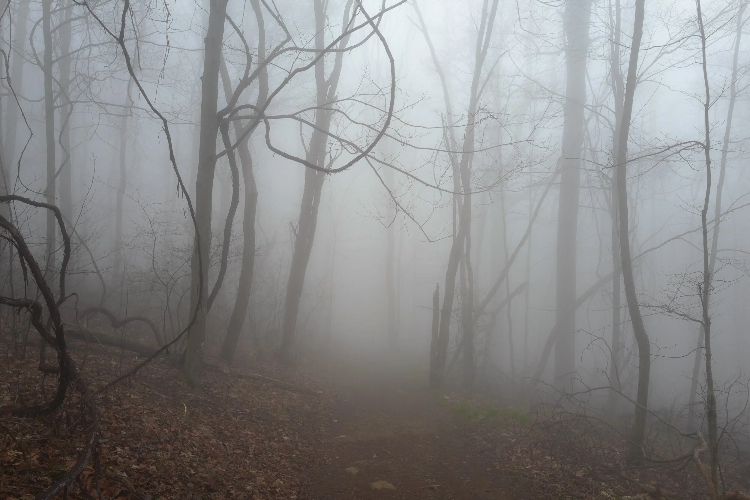 Stanardsville, VA