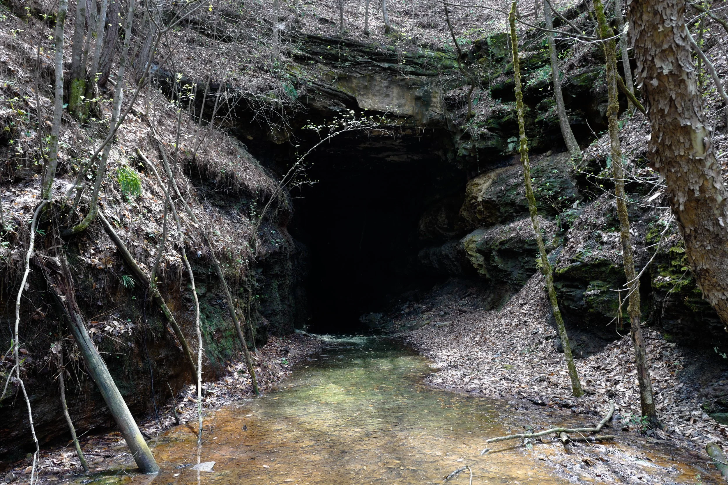1908 Birmingham District Coal Strike—Entrance of the abandoned Jefferson Tunnel, site of a gun battle where an interracial contingent of United Mine Workers repelled deputies transporting convict labor. (Cardiff, AL)  