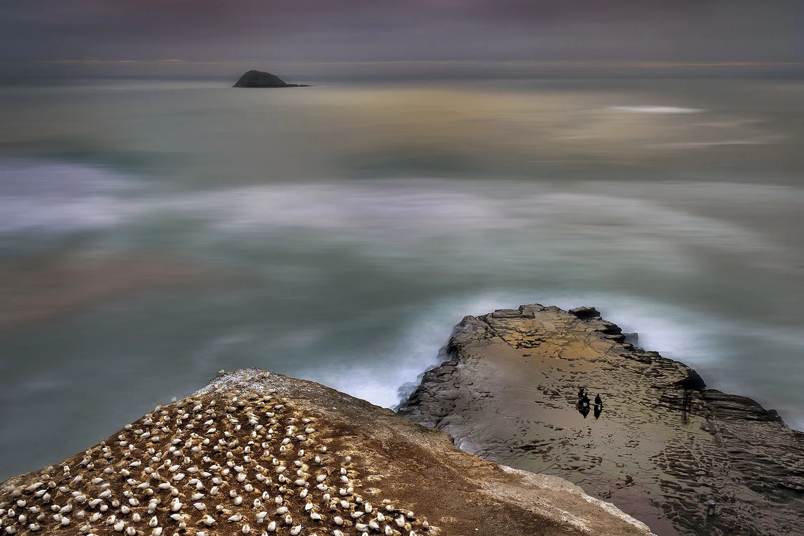 Evening Muriwai-Bob McCree FPSNZ.jpg