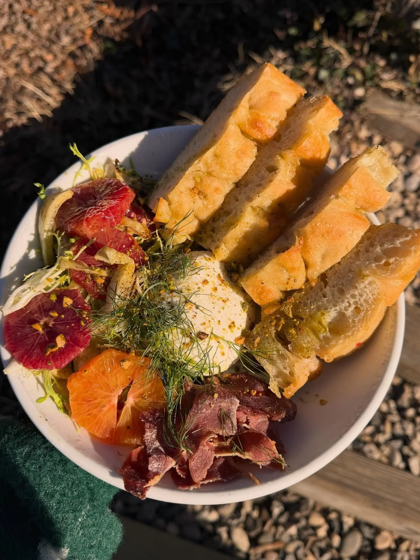 Okay not to post our burrata all the time but like &hellip; sorry how could we not?? Yall see these blood oranges? Just gorgeous 🥲🤩 accompanied by roasted fennel, fris&eacute;e, pistachios, citrus vinaigrette, olive oil, house made focaccia, crispy