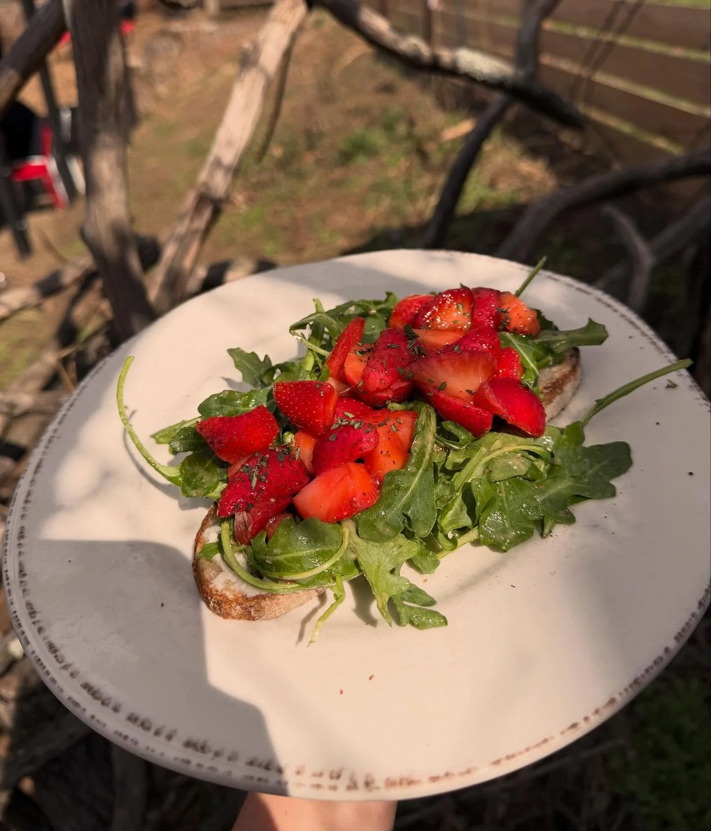 So fresh and so tartine 🤤 our 🍓Strawberry Tartine 🍓 on special right now is so seasonally gorgeous like she IS the moment! Perfectly macerated Florida strawberries, marscapone, arugula, balsamic, lemon, thyme, sourdough toast! EEEK! 🤩

.
.
.
.
.
