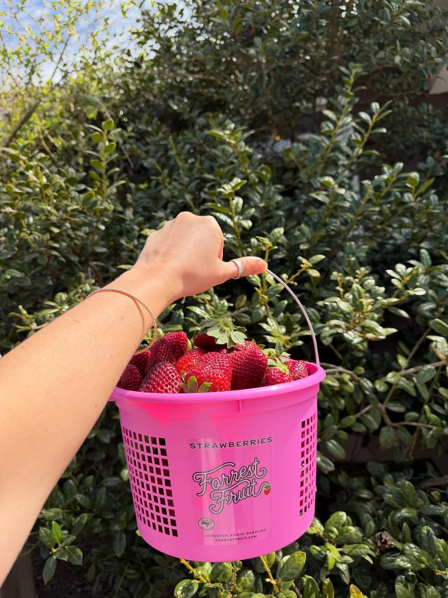 Uh oh! We got local strawberries in and yall better hurry up and come order some lunch before we eat them all 🤤🤩🍓 they are literally so juicy and delicious and thank the lorrrrdt that it&rsquo;s the season again! 🍓💕🌸 🌞woohoo!!!!!!! 🤸&zwj;♀️ 
