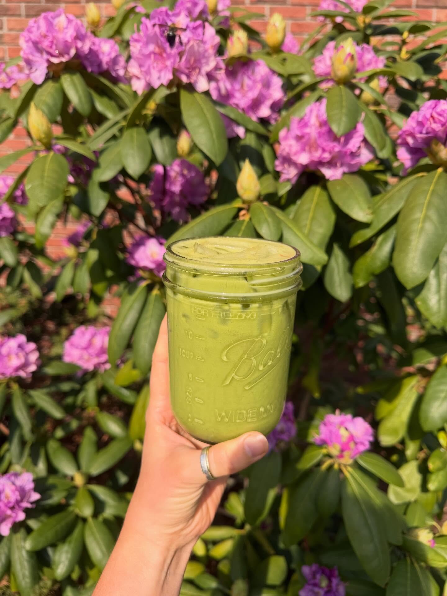 We&rsquo;re all gonna close our eyes and pretend we are on vacay together because this Island Time Matcha will literally transport you somewhere tropical with the first sip 🌴🧉🌞 it&rsquo;s giving suns out guns out, layin out poolside or kickin it o