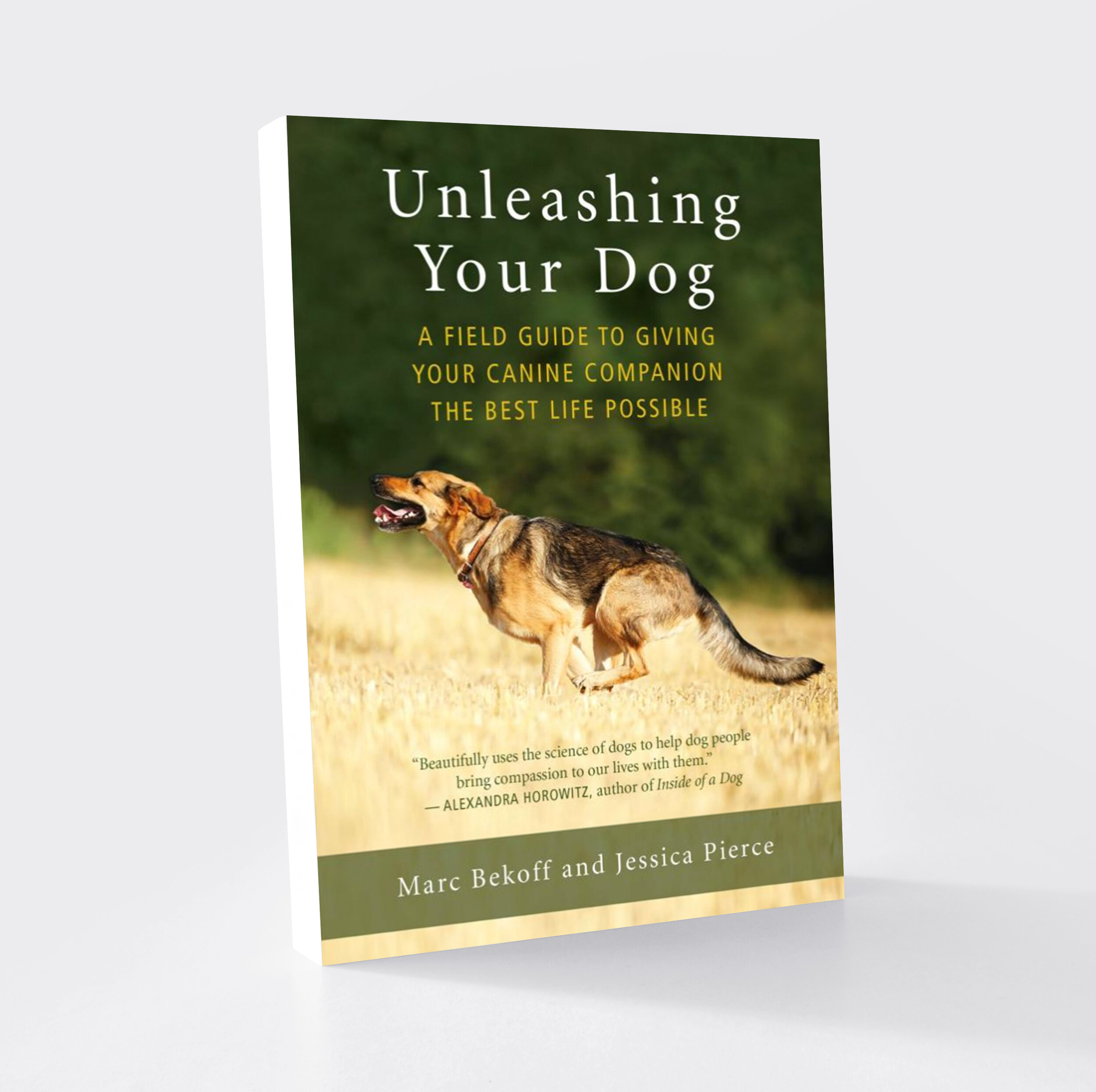 Unleashing Your Dog A Field Guide to Giving Your Canine Companion the ...