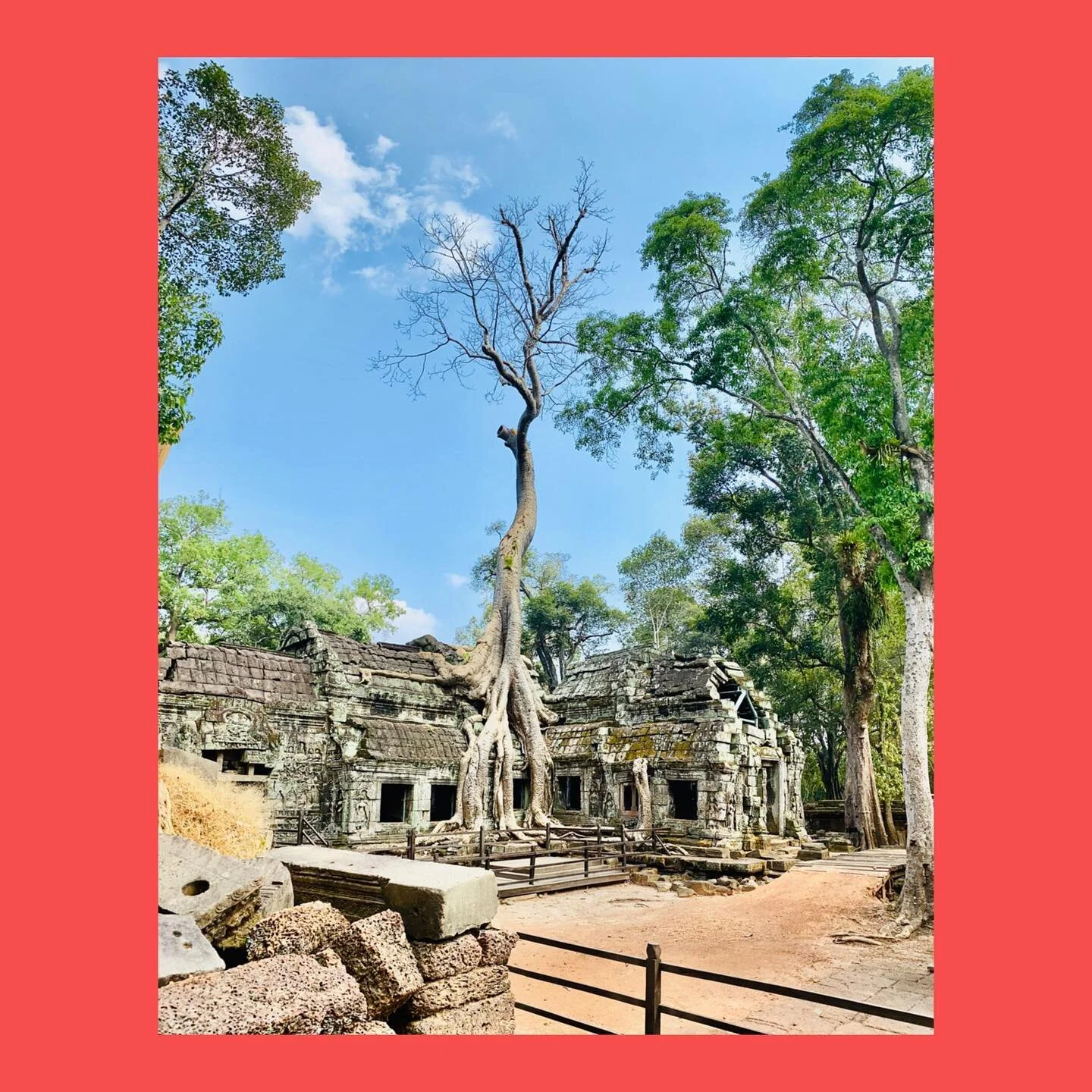 Sudeste Asiático 2020
Singapur 🇸🇬 Myanmar 🇲🇲 Tailandia 🇹🇭 
Laos 🇱🇦 Cambodia 🇰🇭 Vietnam 🇻🇳 Malasia 🇲🇾 Nuestros destinos no son a ningún lugar, si no a una nueva forma de ver las cosas! Viaja con nosotros...Become a story teller!

PLACE