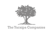 TYC.png