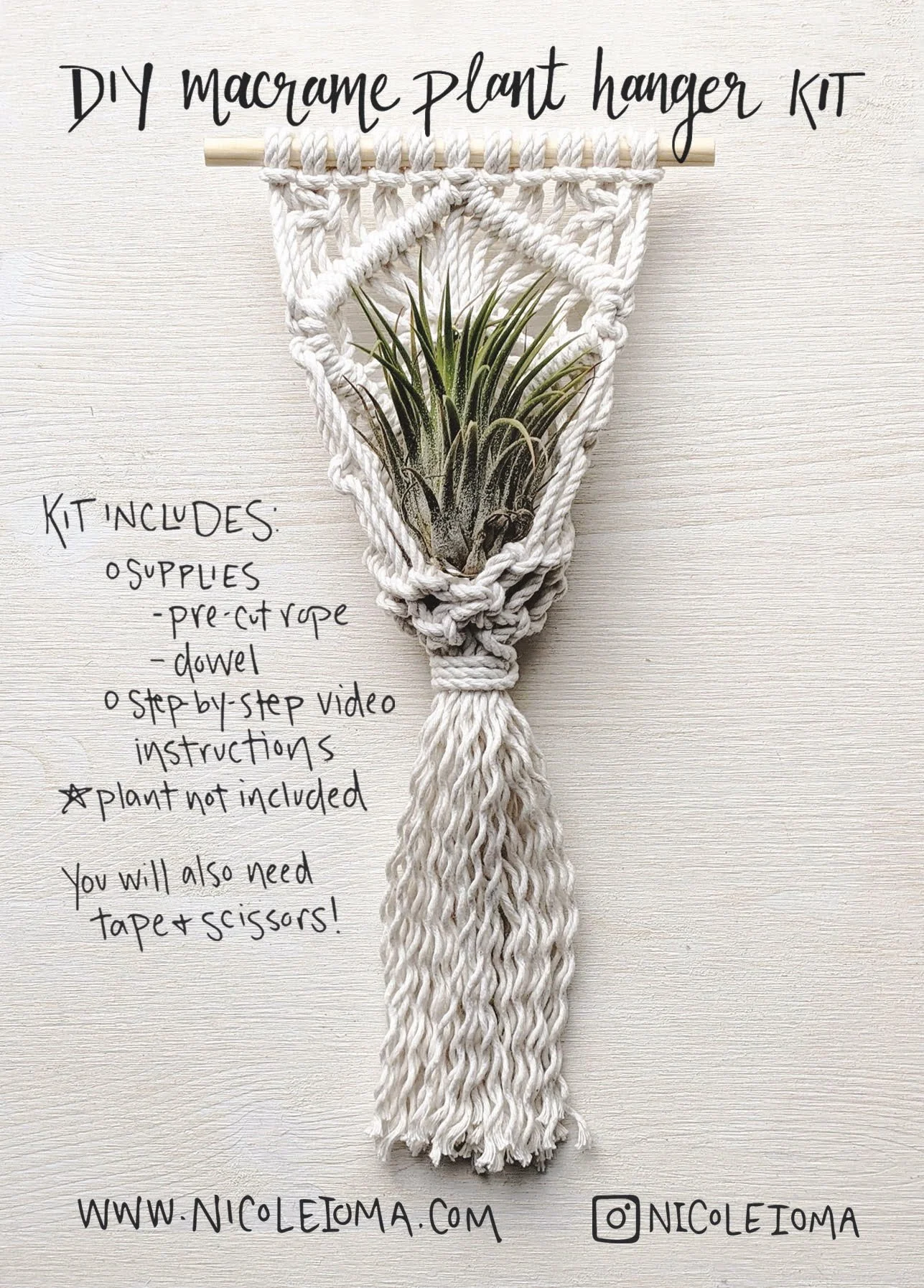 air planter kit.jpg
