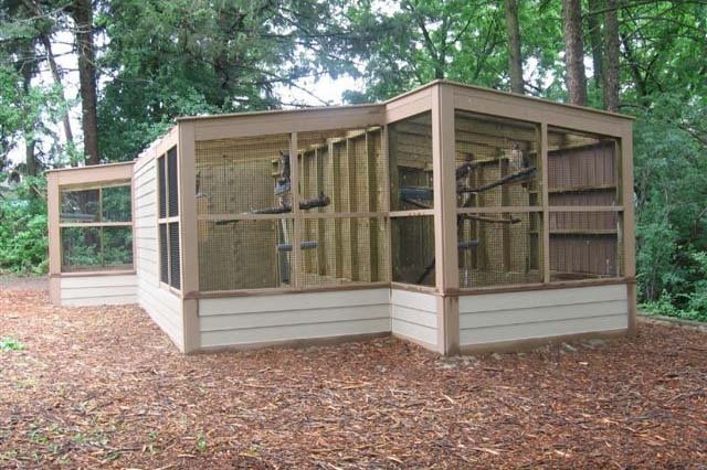 Raptor Enclosure Small.jpg