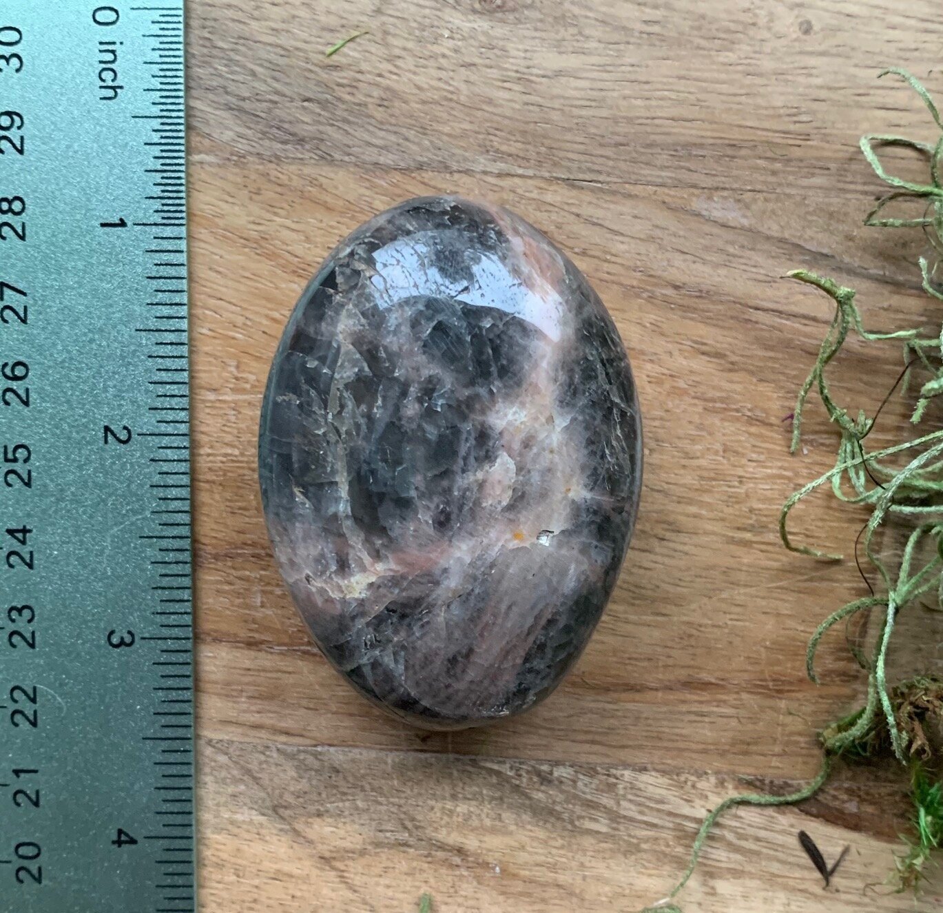 scale+photo+with+ruler.jpg