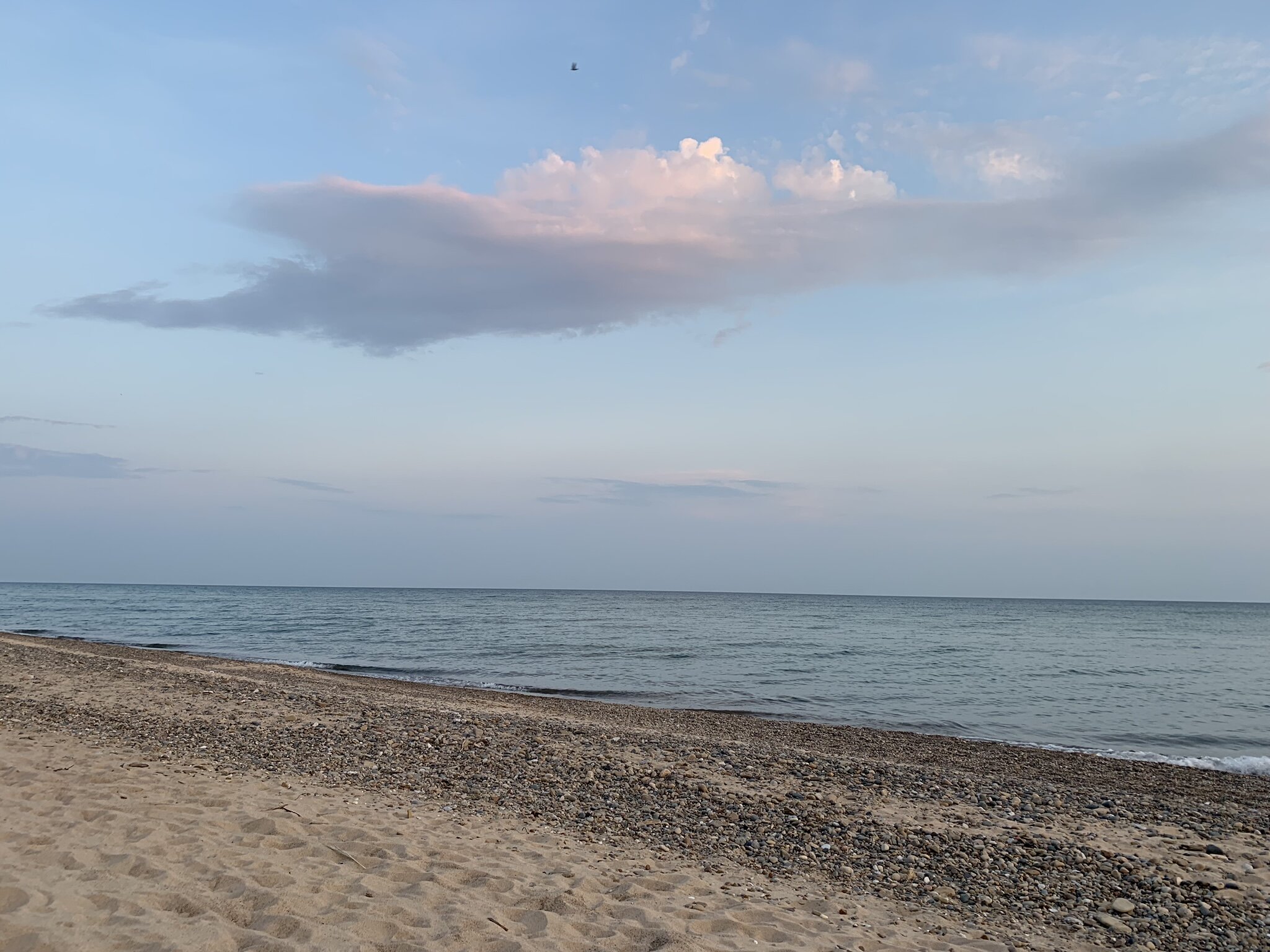 IMG_0219.JPEG