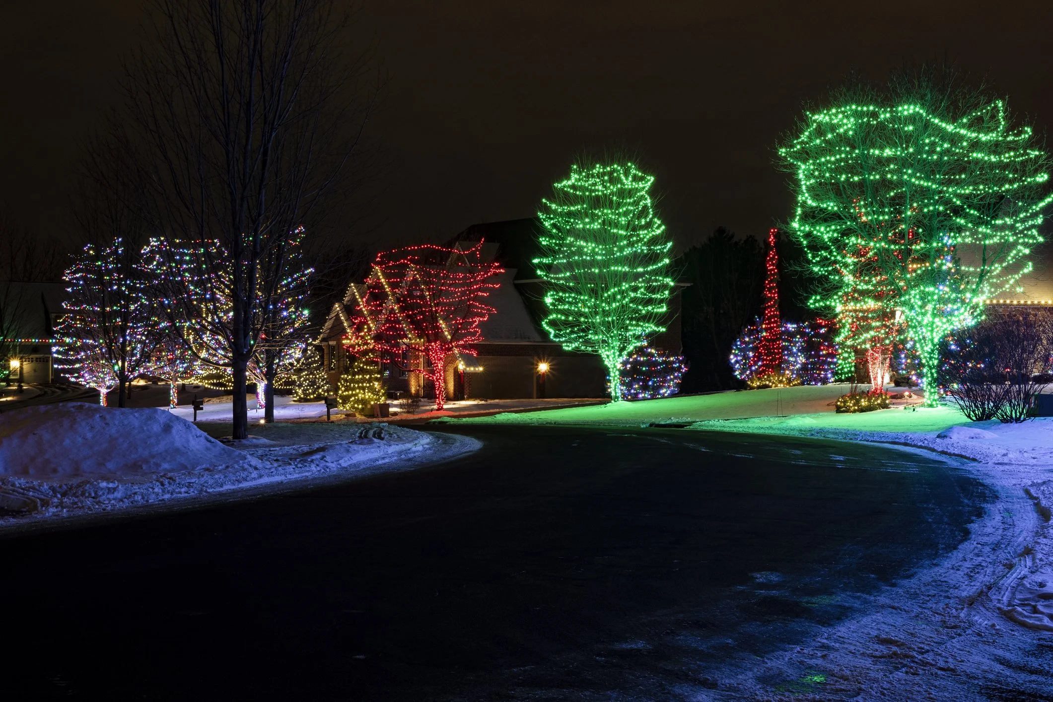 Several trees decorated with colorful Christmas lights, including green, red, and multicolored, in a snowy outdoor setting at night.