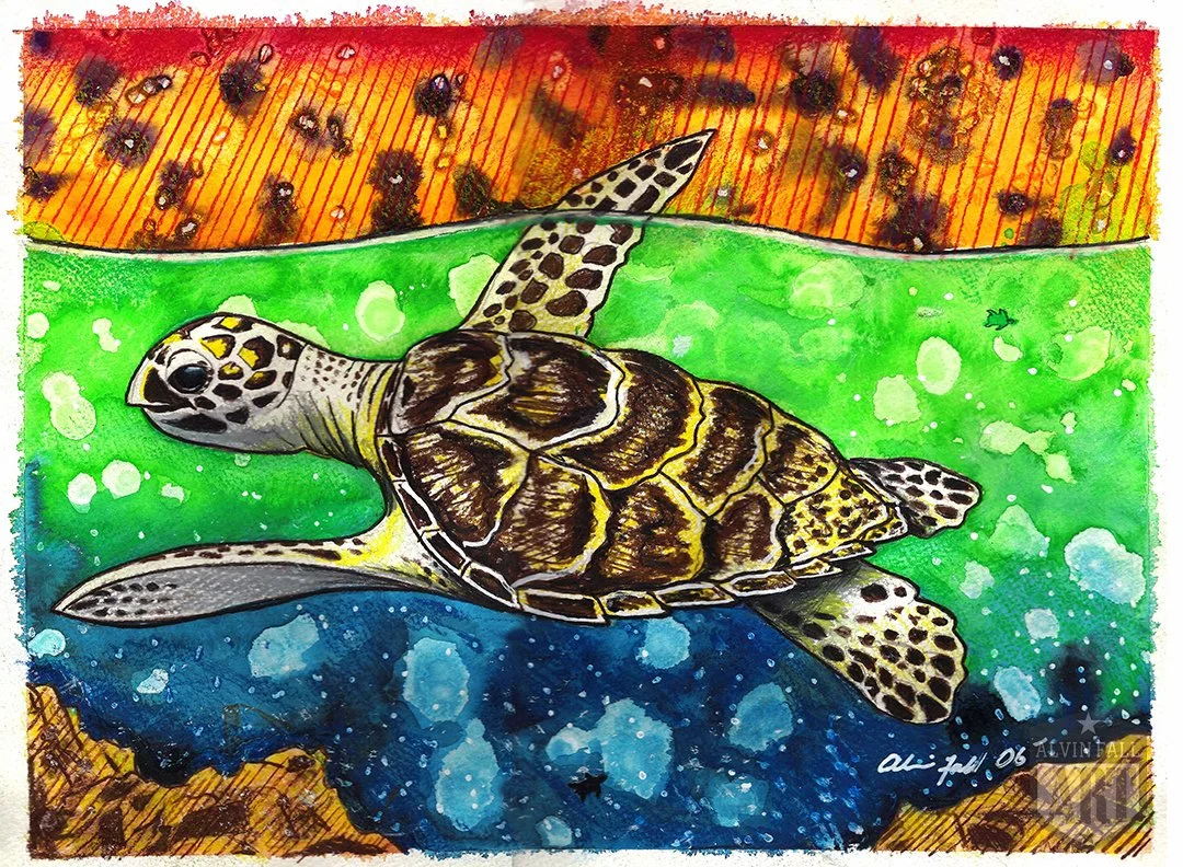 Sea Turtle