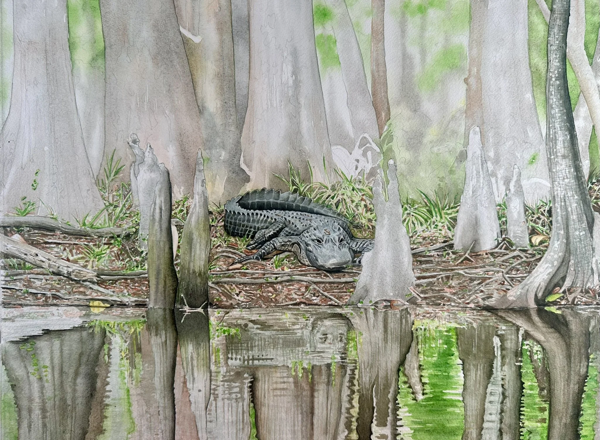 Continued detail work on the alligator's scales and surrounding foliage, deepening values throughout the composition.