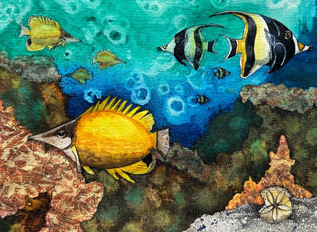Butterfly Fish and Moorish Idol