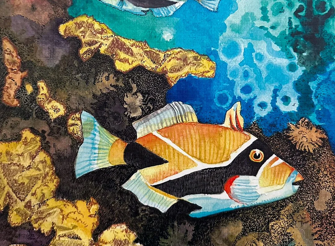 Trigger Fish and Coral