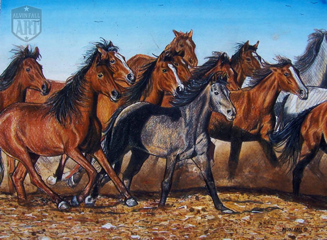 Feral Horses
