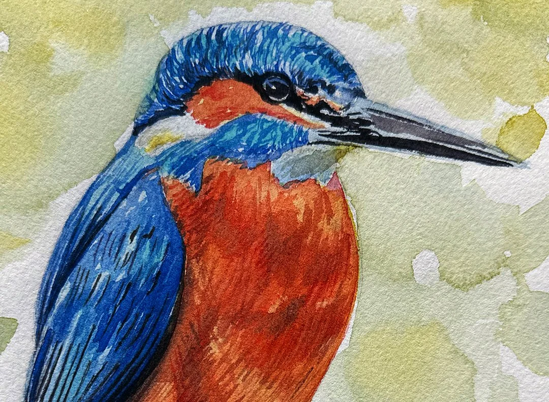 Kingfisher