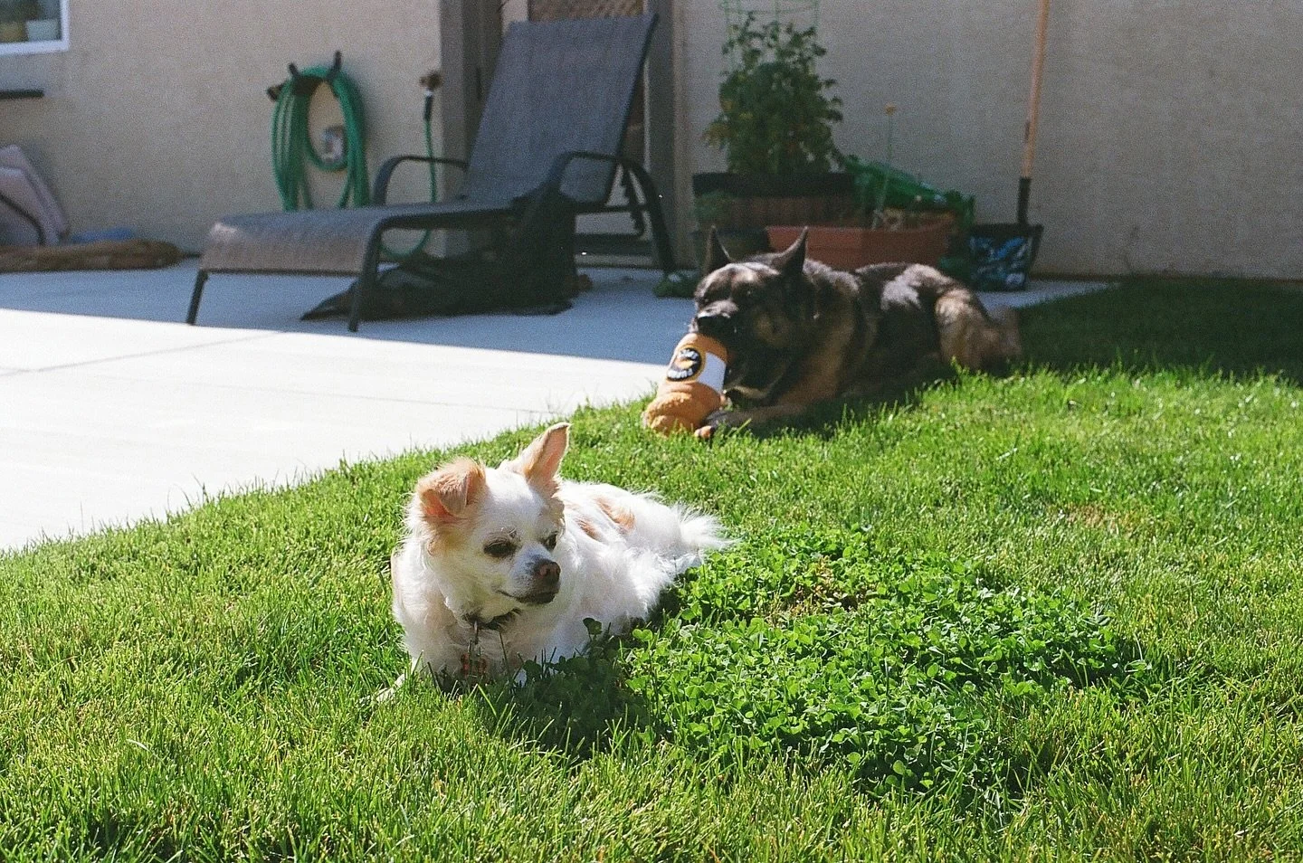 Best friends* 

*or Angel tolerates Sophie the most