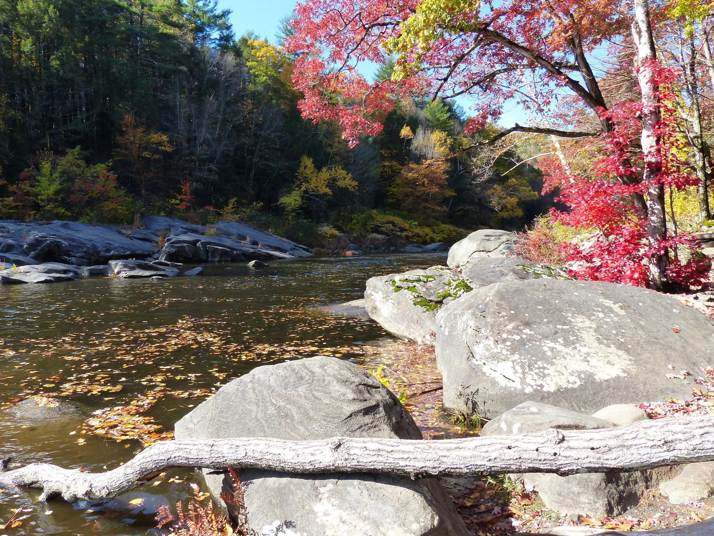 Deerfield River Watershed Association