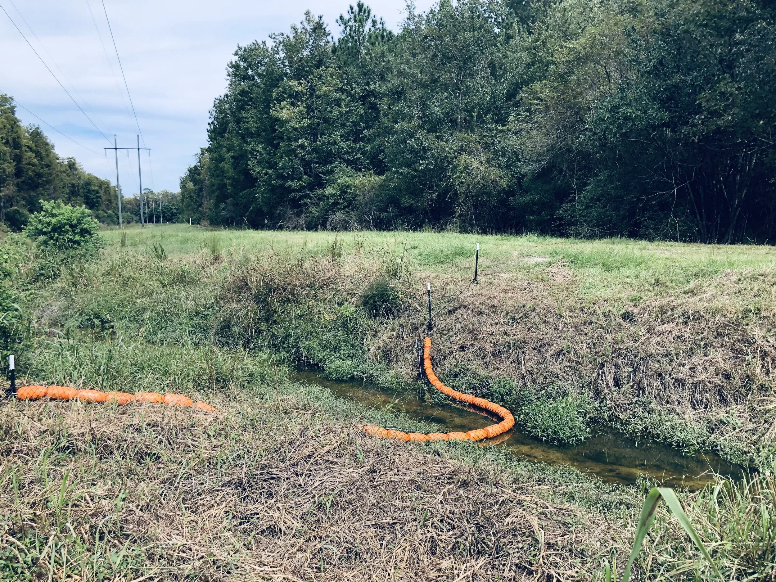 Lotts Creek Litter  Trap