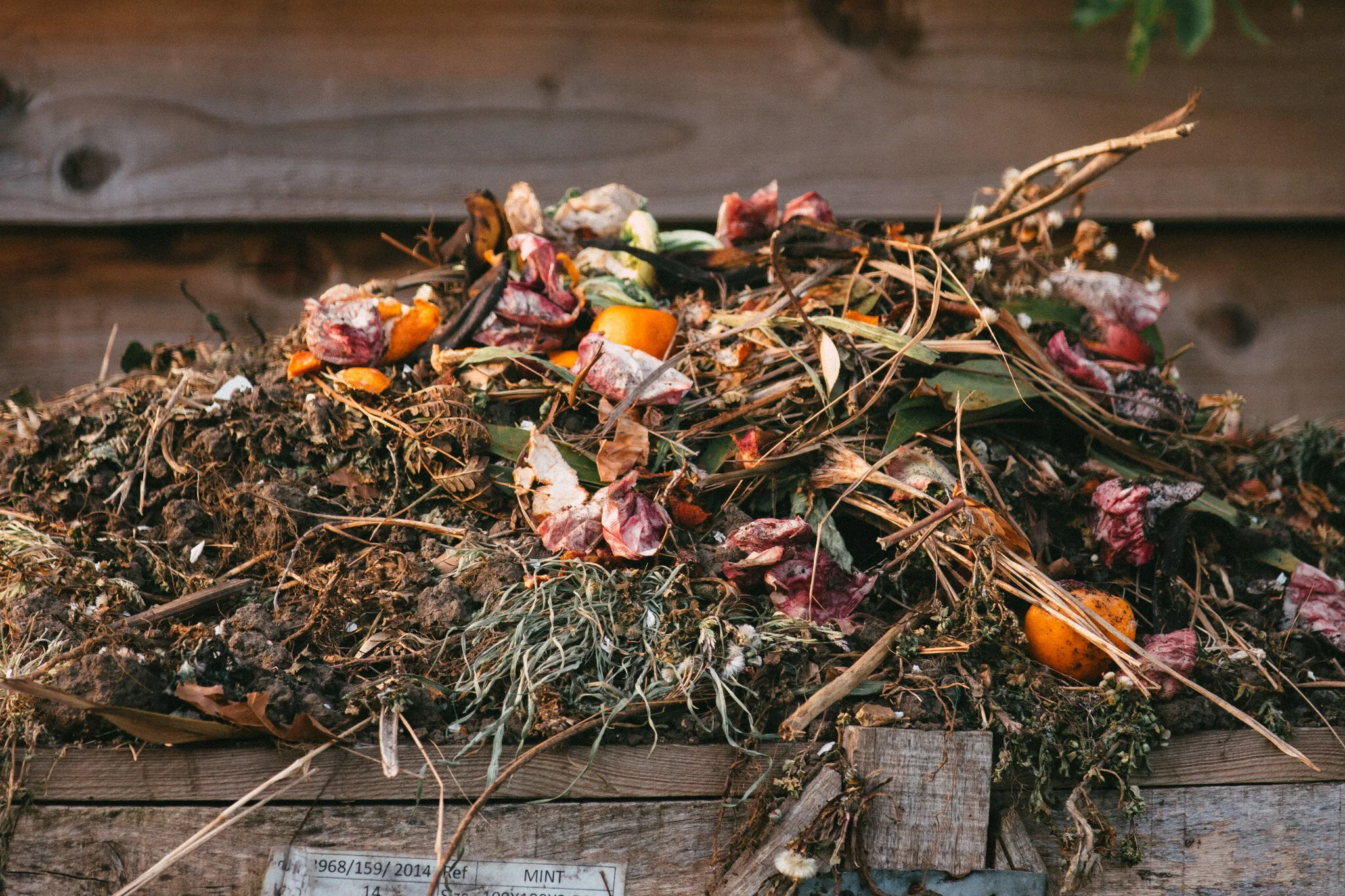 How to Start Composting At Home