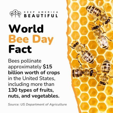 Happy #WorldBeeDay! 🐝🌼 The impact of bees on our lives and the food we eat every day is un-BEE-lievable 😱, and we love this reminder from our friends at Keep America Beautiful.

Celebrate bees today and every day by planting a pollinator garden in