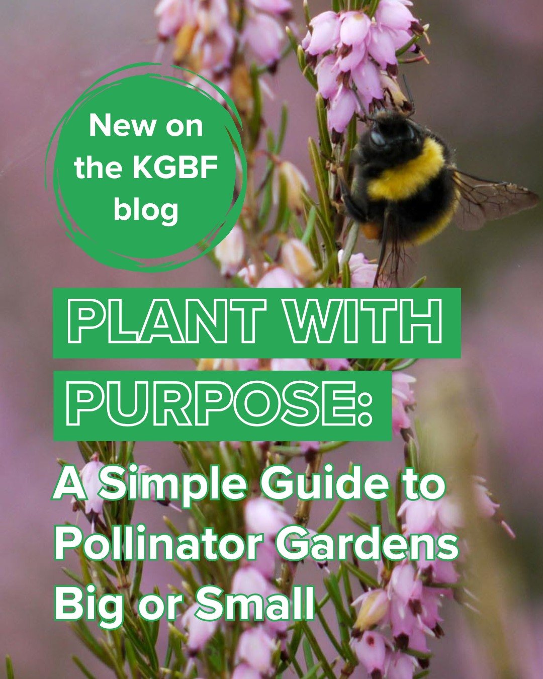 National Pollinator Month&mdash;a time to celebrate and support the bees, butterflies, hummingbirds, and other species that help our plants grow and ecosystems thrive&mdash;may have come to a close, but the good news? You can support these amazing cr
