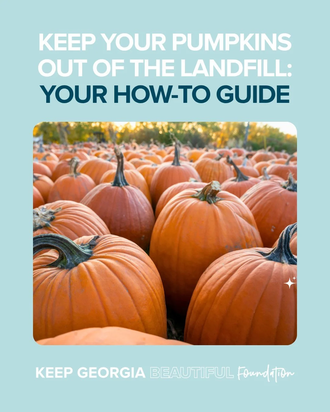 Perhaps you're keeping them up until Thanksgiving, or maybe you're ready to get rid of them now. Either way, we've got a number of ways you can turn that jack-o-lantern into a snack-o-lantern&mdash;for yourself, your soil, or a number of different an