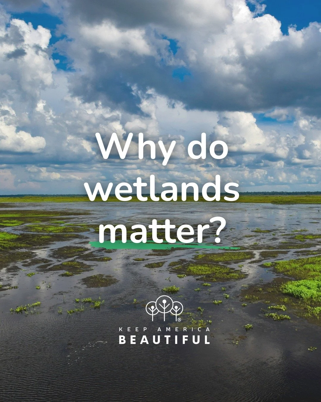 Let's celebrate wetlands every day! 🌿 This post from our friends at Keep America Beautiful demonstrates that these natural spaces protect water, support wildlife, and strengthen our communities&mdash;often without us even noticing. Caring for wetlan