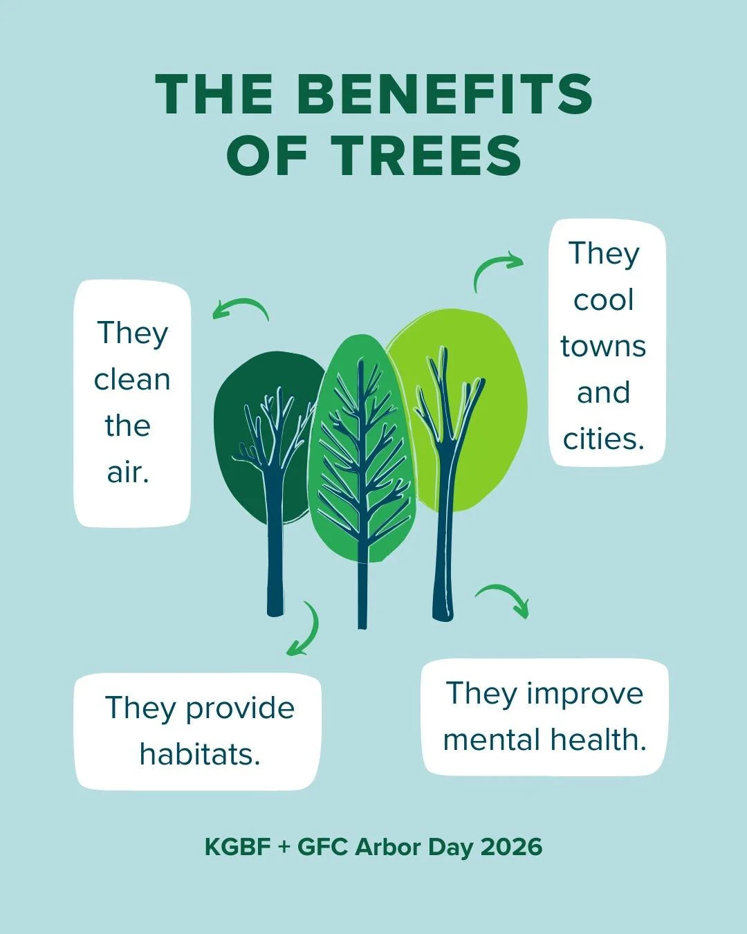 Trees really do it all&mdash;cooling our streets, cleaning our air, and making our communities vibrant and welcoming. We could list benefits all day, but we&rsquo;d love to hear from you: what&rsquo;s your favorite thing about trees?

Don&rsquo;t for