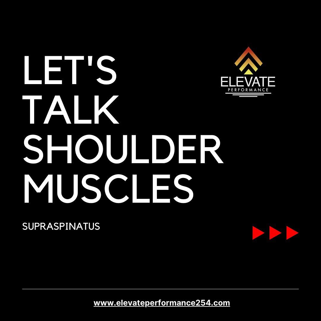 Muscle Mondays! The supraspinatus is featured today. One of your rotator cuff muscles, this little guy is often implicated in rotator cuff tears and tendon issues. The should joint is complex and should be properly evaluated before choosing what your