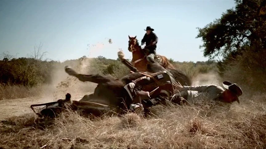 WA 212 Horse fall.jpg