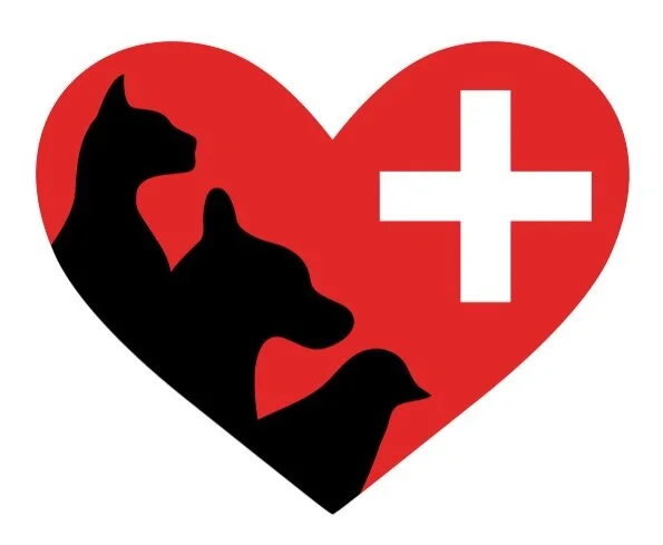 The Sad Expectation of Veterinary Care