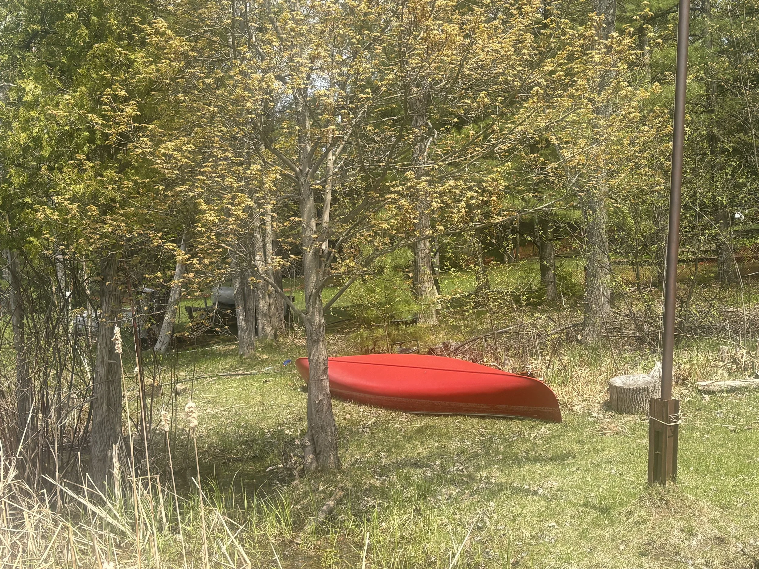 IMG_0901.jpeg