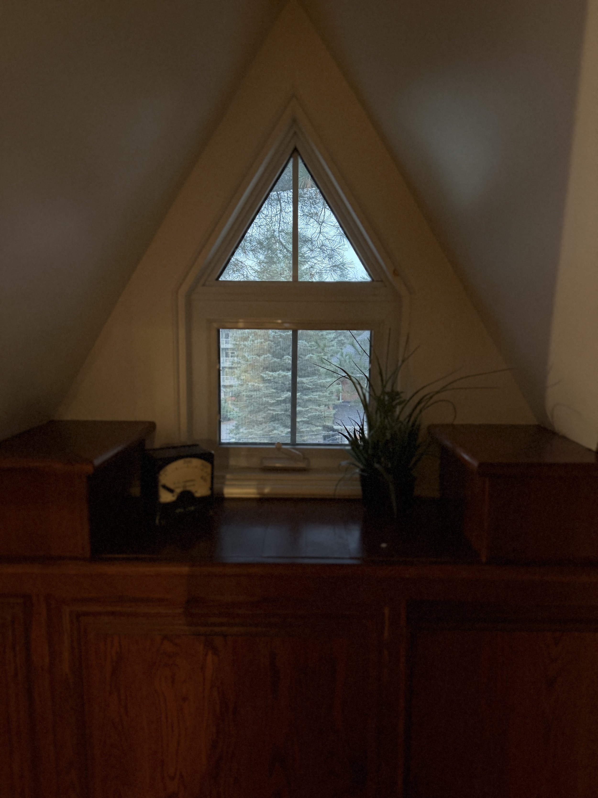 IMG_2167.jpeg