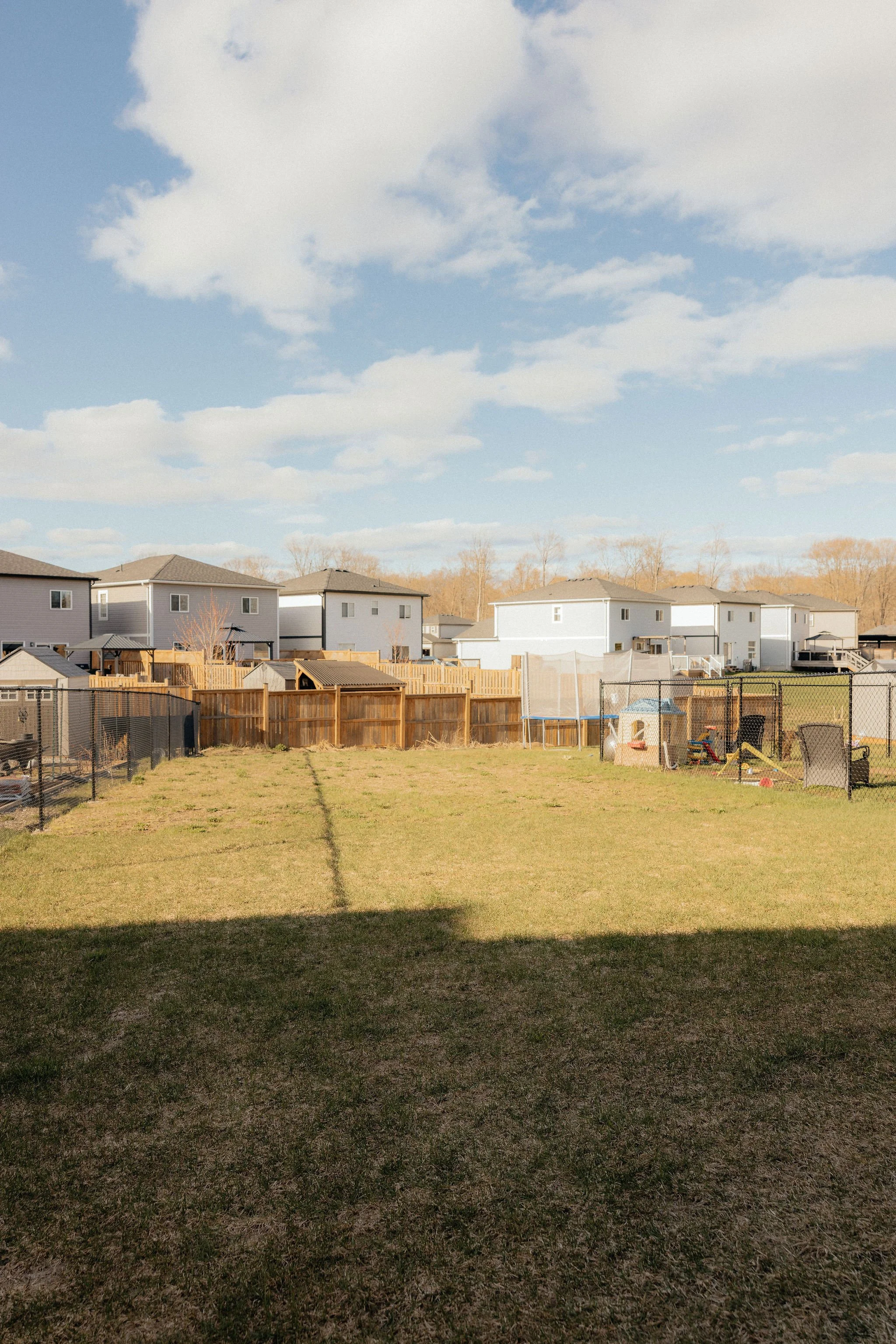 220_Daffodil_maevecollinsphotography-57.jpg