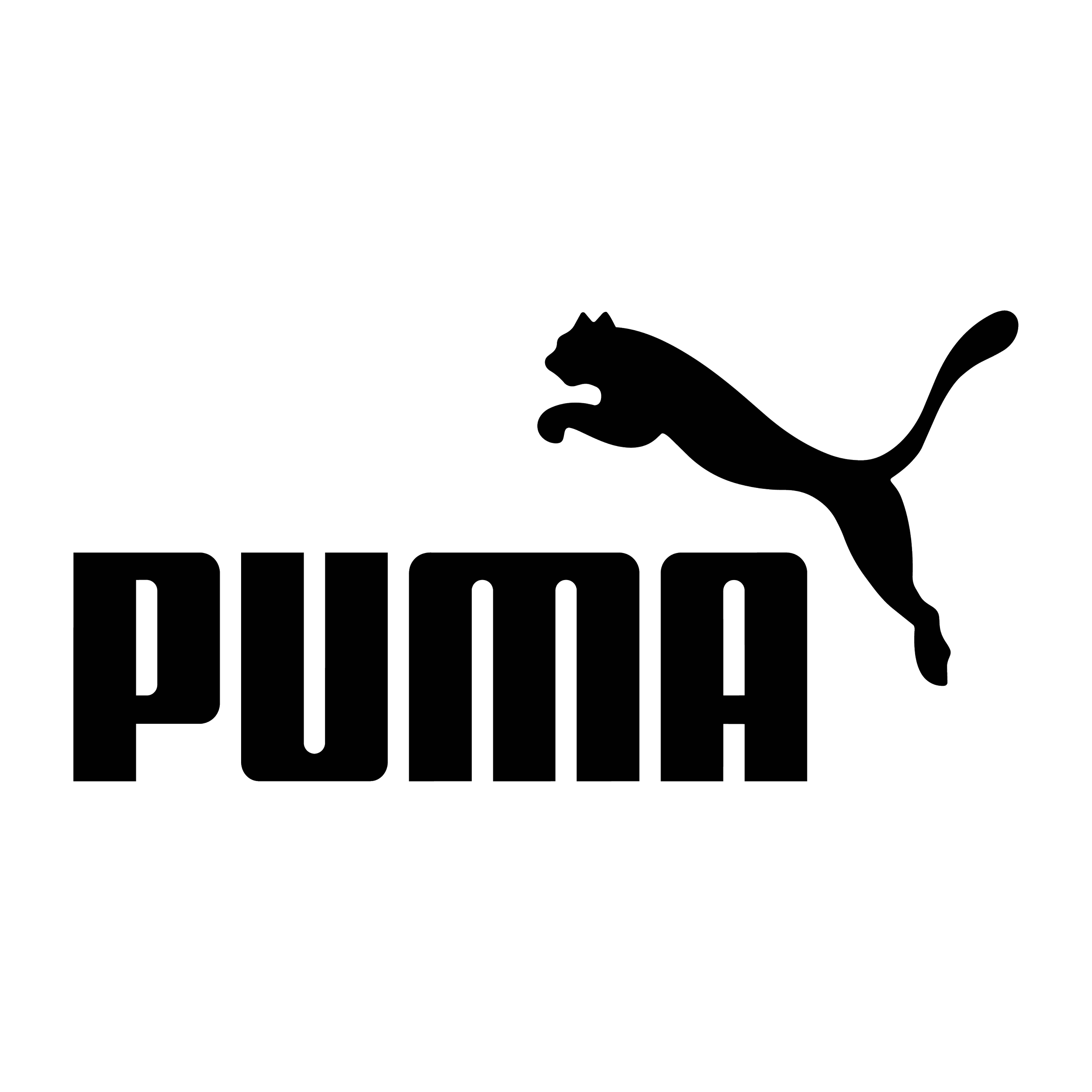 Puma logo with the brand name and a leaping puma outline.