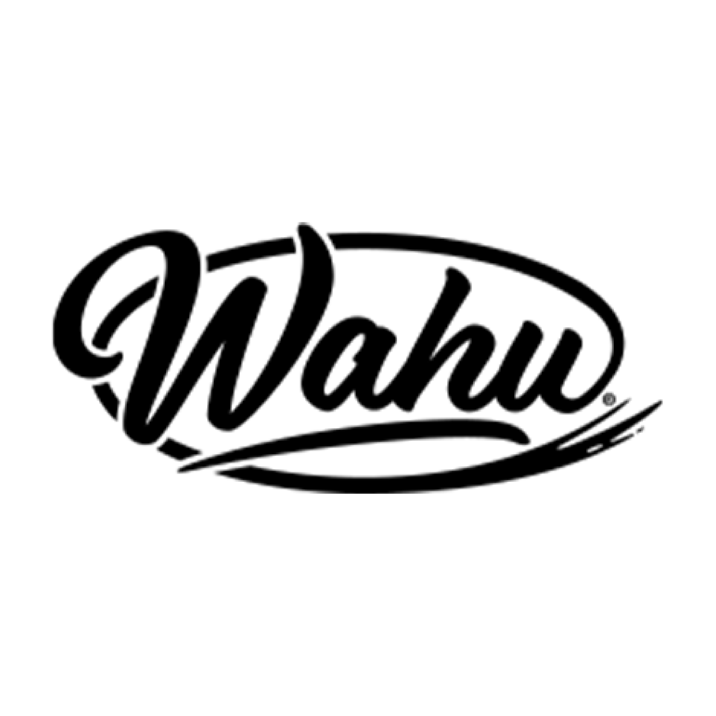 Waldo logo in black cursive font with a shadow, enclosed in a rounded speech bubble outline.