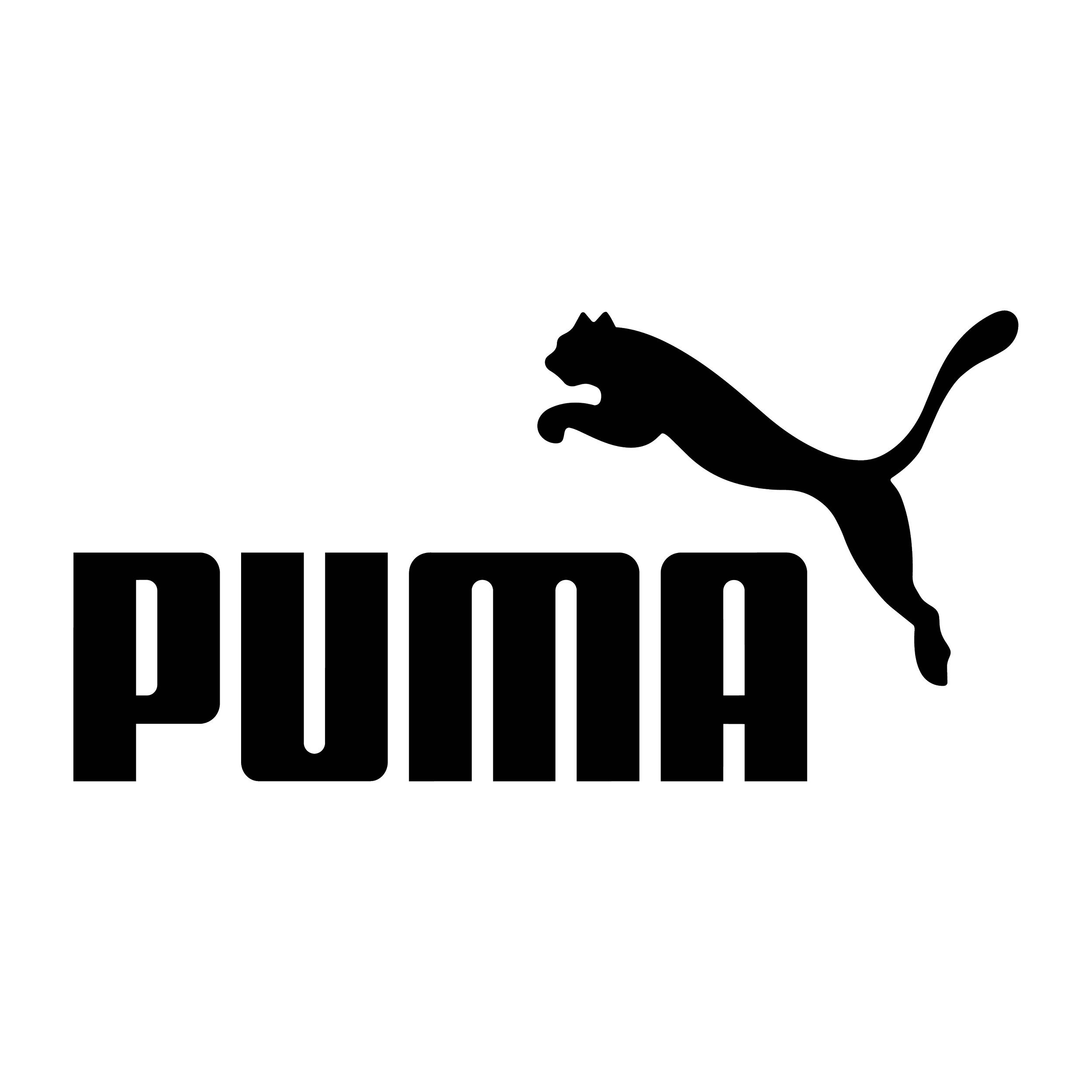 Black background with a white outline of a leaping puma above the word "PUMA" in bold capital letters.