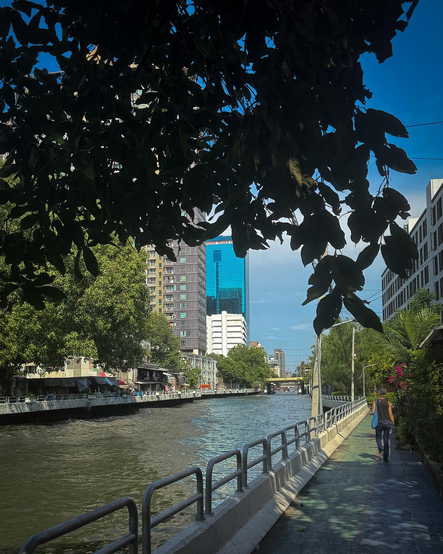 #bangkok #thailand #visitthailand #summerthailand #portraitphotography #33trekking #natgeo #natgeotravel
#photography #worldtravel #travelphotography #travelandleisureasia #livelaughlove #adobe #lightroom #photoblog #tourism #thailife #bestdestinatio