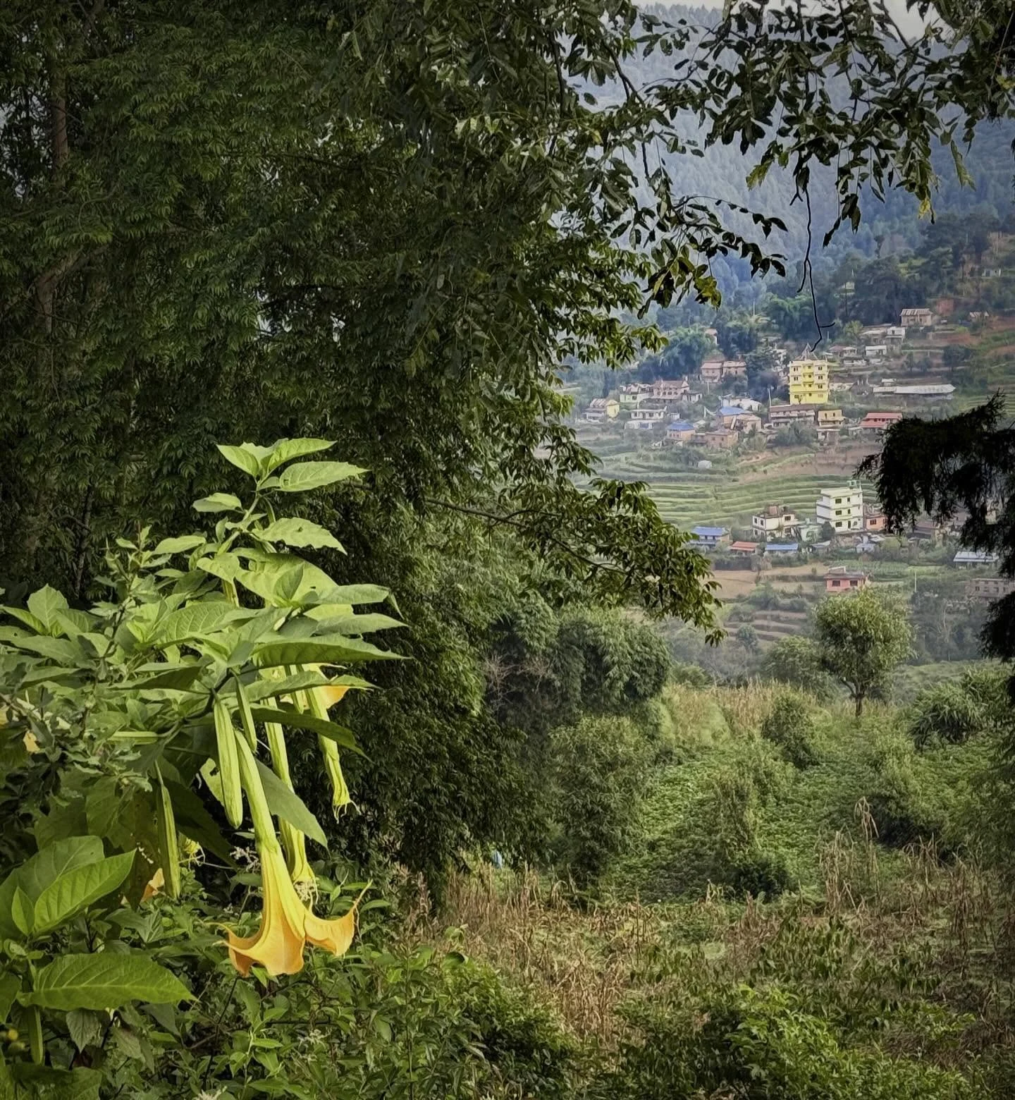 #nepal #kathmand&uacute; #himalaya #boudhanathstupa #33trekking #livelaughlove #travel #adventure #backpacking #explore #photography #travelphotography #blog #nomadic #liveauthentic #worldtravel #artofvisuals #scenic #natgeo  #danajonchappelle #shoto