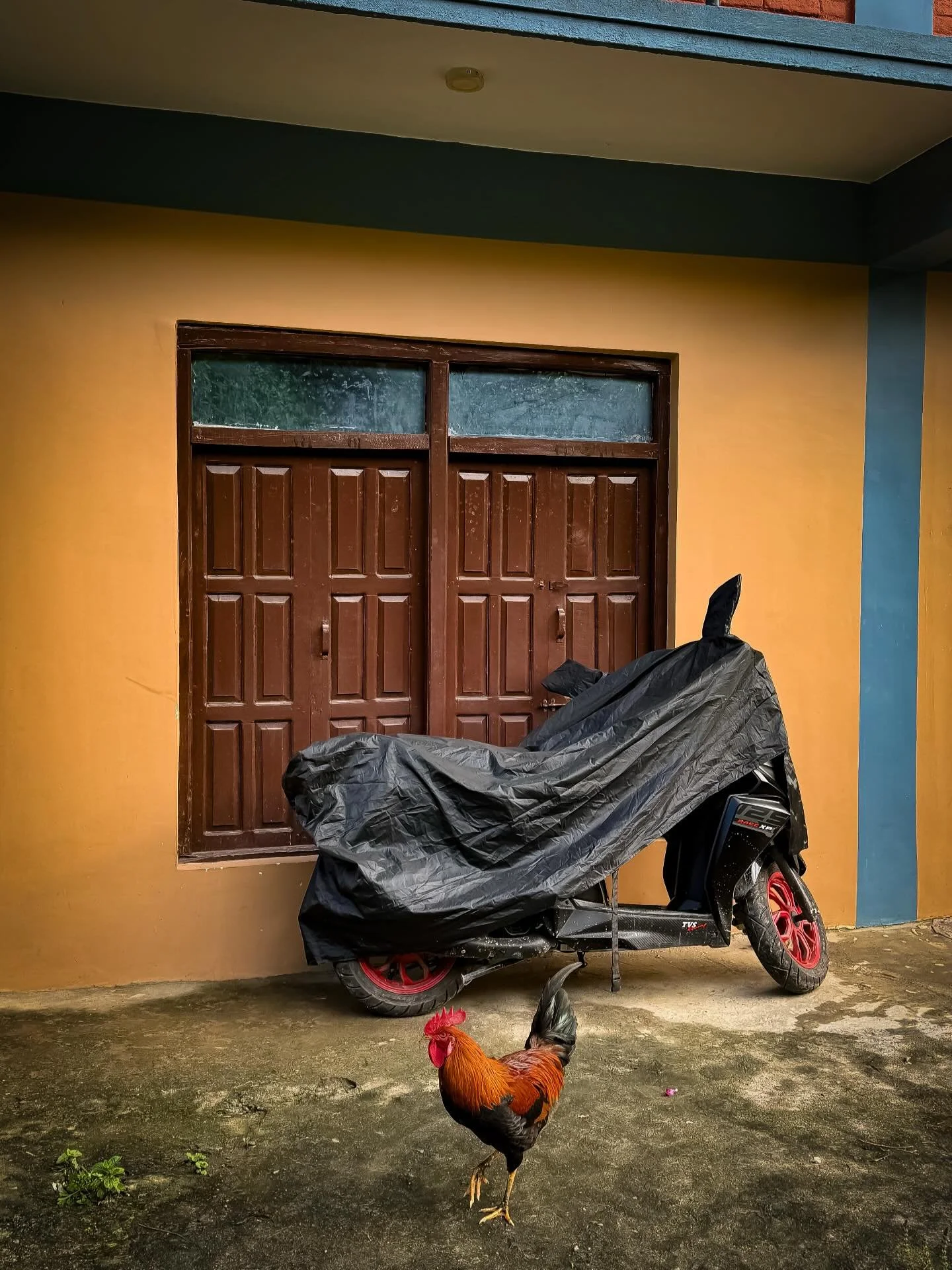 #nepal #kathmand&uacute; #himalaya #boudhanathstupa #33trekking #livelaughlove #travel #adventure #backpacking #explore #photography #travelphotography #blog #nomadic #liveauthentic #worldtravel #artofvisuals #scenic #natgeo  #danajonchappelle #shoto