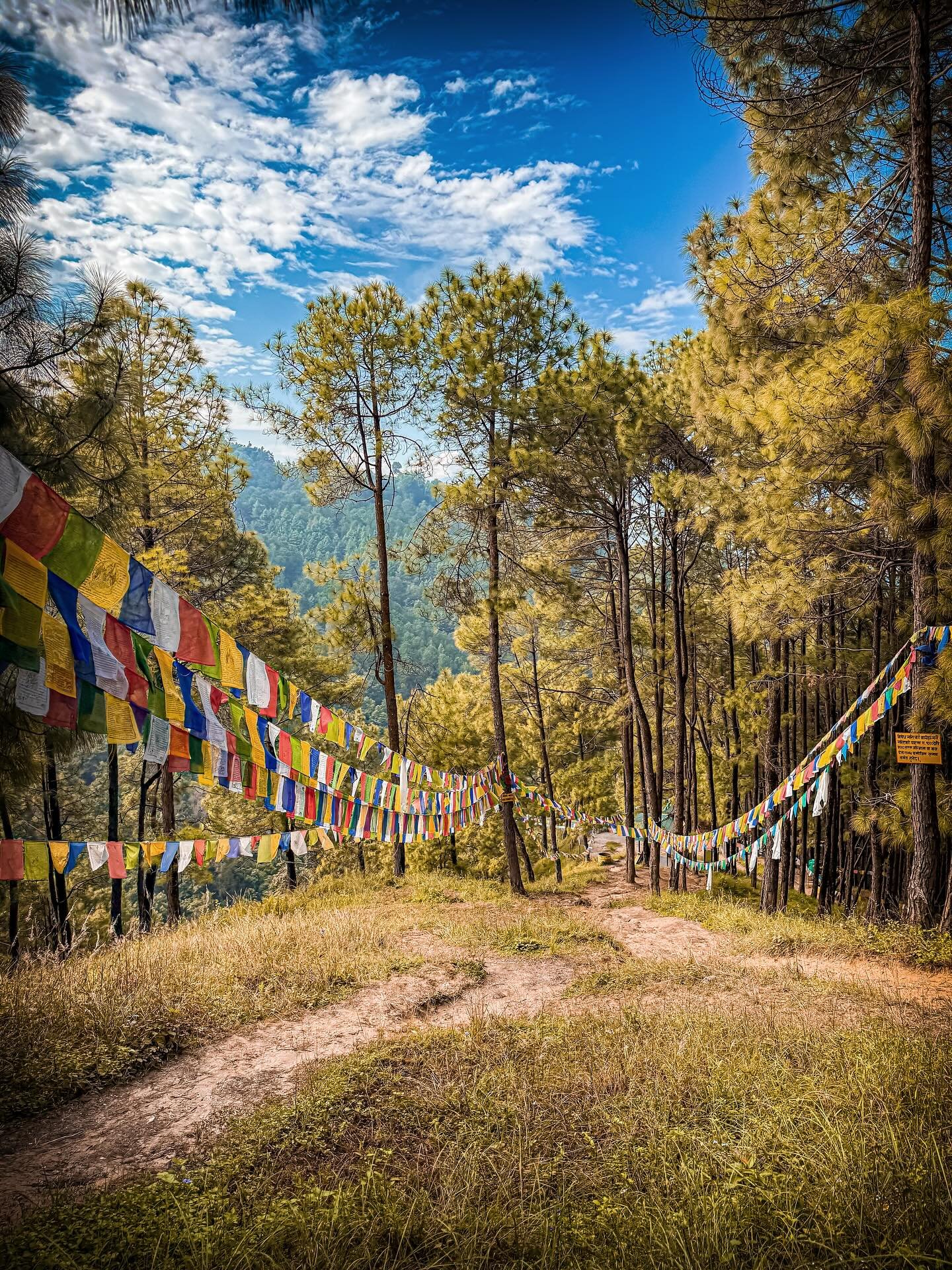 #nepal #kathmand&uacute; #himalaya #boudhanathstupa #33trekking #livelaughlove #travel #adventure #backpacking #explore #photography #travelphotography #blog #nomadic #liveauthentic #worldtravel #artofvisuals #scenic #natgeo  #danajonchappelle #shoto