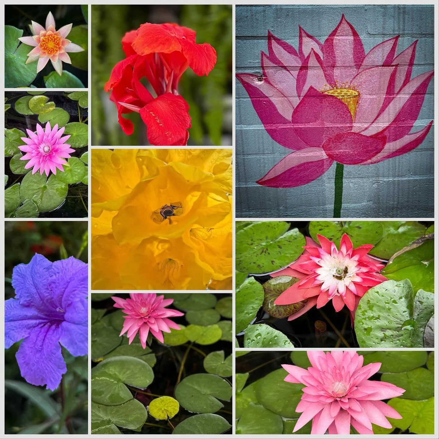 #bangkok #thailand #visitthailand 
#summerthailand #portraitphotography
#33trekking #natgeo #natgeotravel
#photography #worldtravel #shotoniphone #travelphotography #travelandleisureasia #live laugh love #photoblog #tourism #thailife #bestdestination