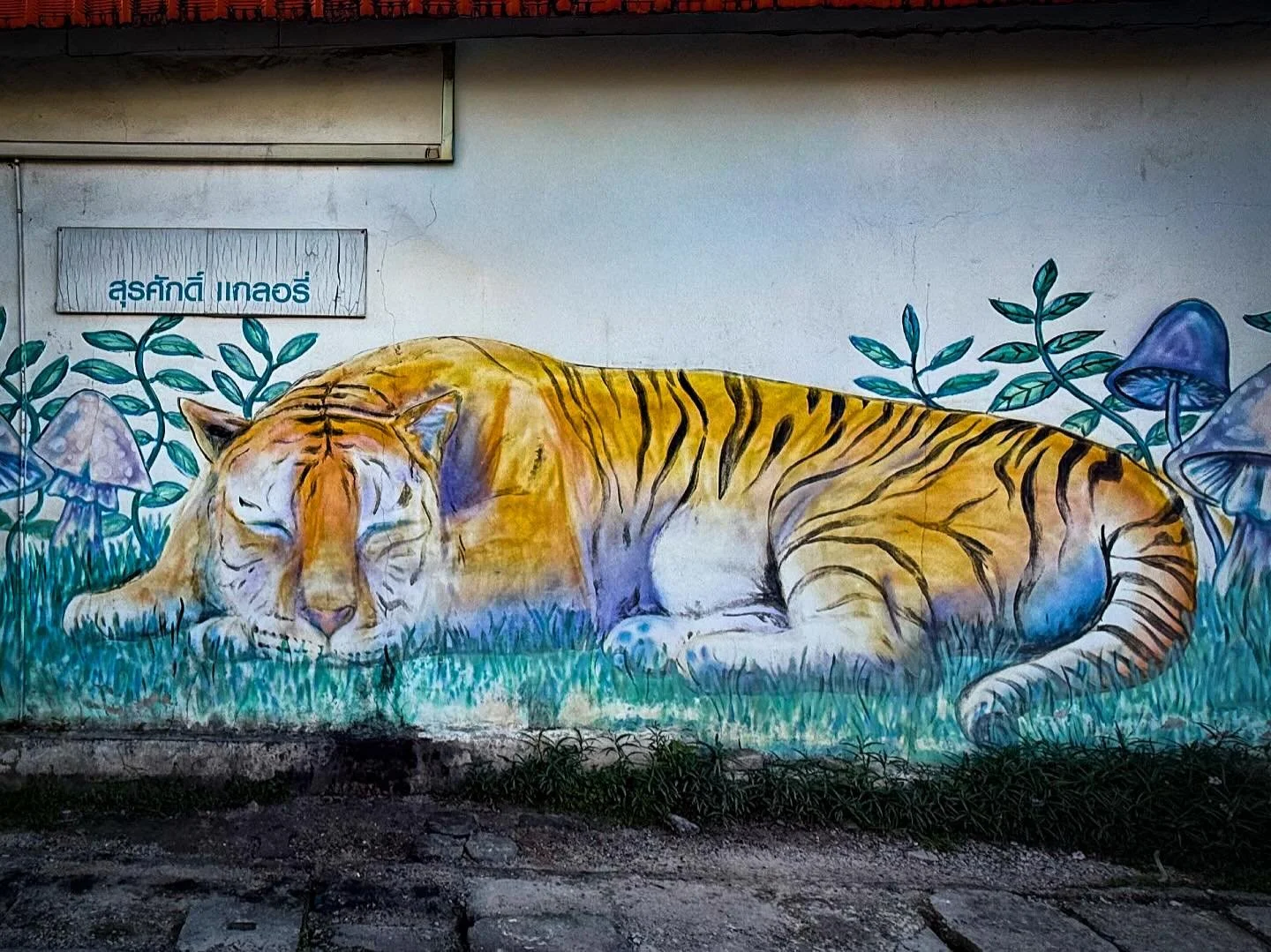 #chiangmai #thailand #visitthailand 
#summerthailand #portraitphotography
#33trekking #natgeo #natgeotravel
#photography #worldtravel #shotoniphone #travelphotography #travelandleisureasia #live laugh love #photoblog #tourism #thailife #bestdestinati