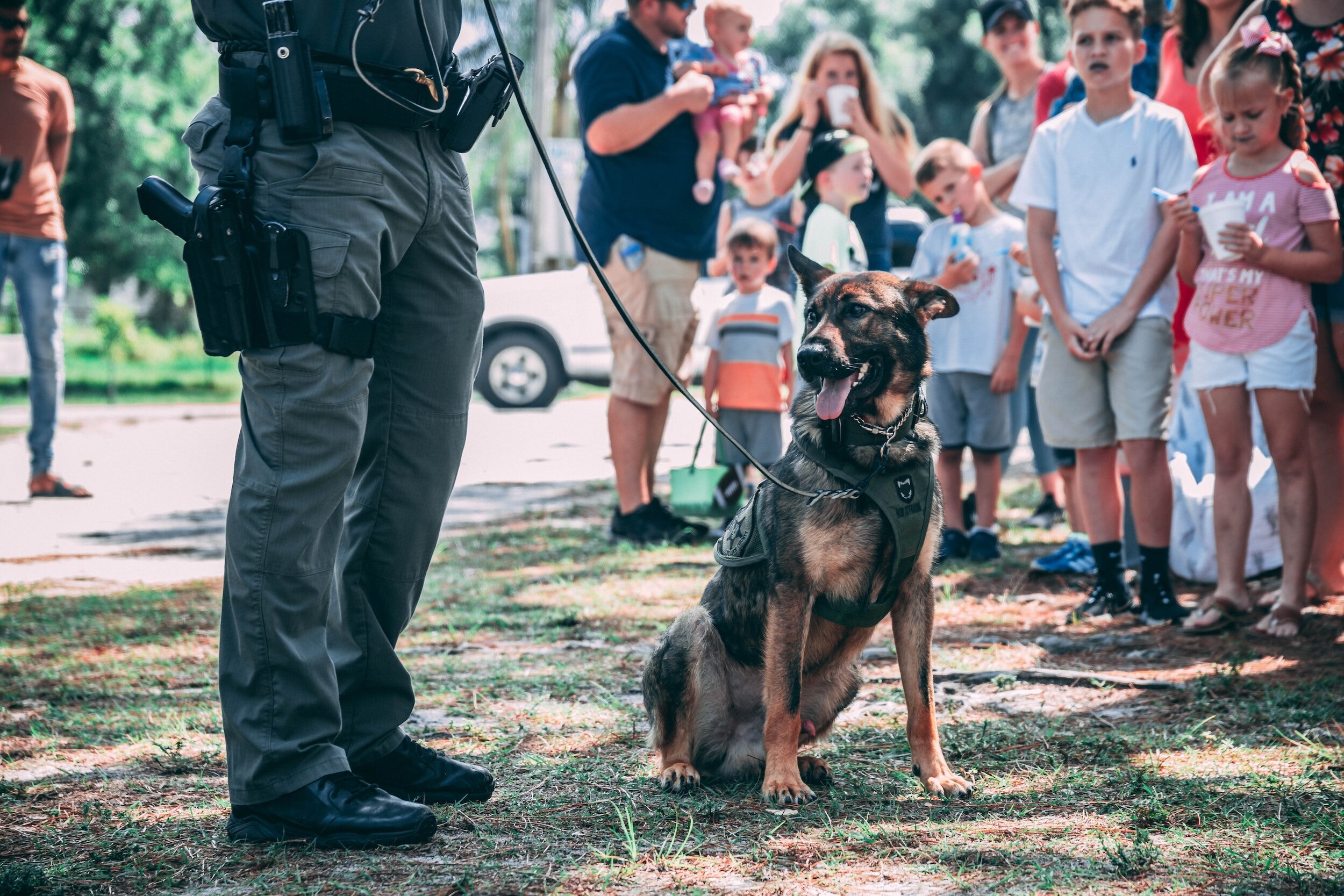 Service Dog Fund