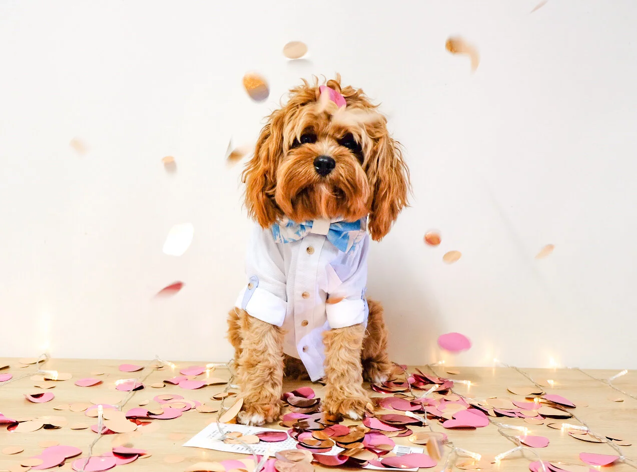 thelott-mrbertiebrown (1).jpeg