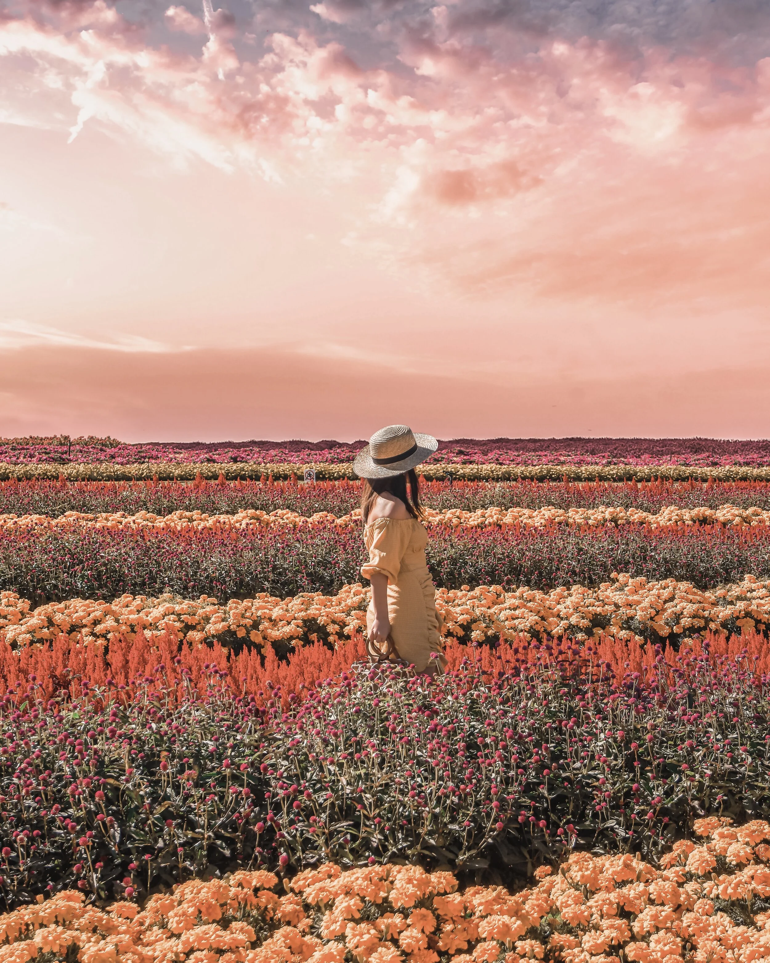 480356_qantas_@doitforicecream .jpg