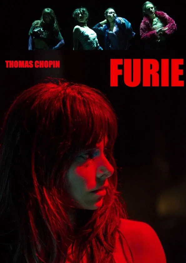 Affiche furie v3.jpeg