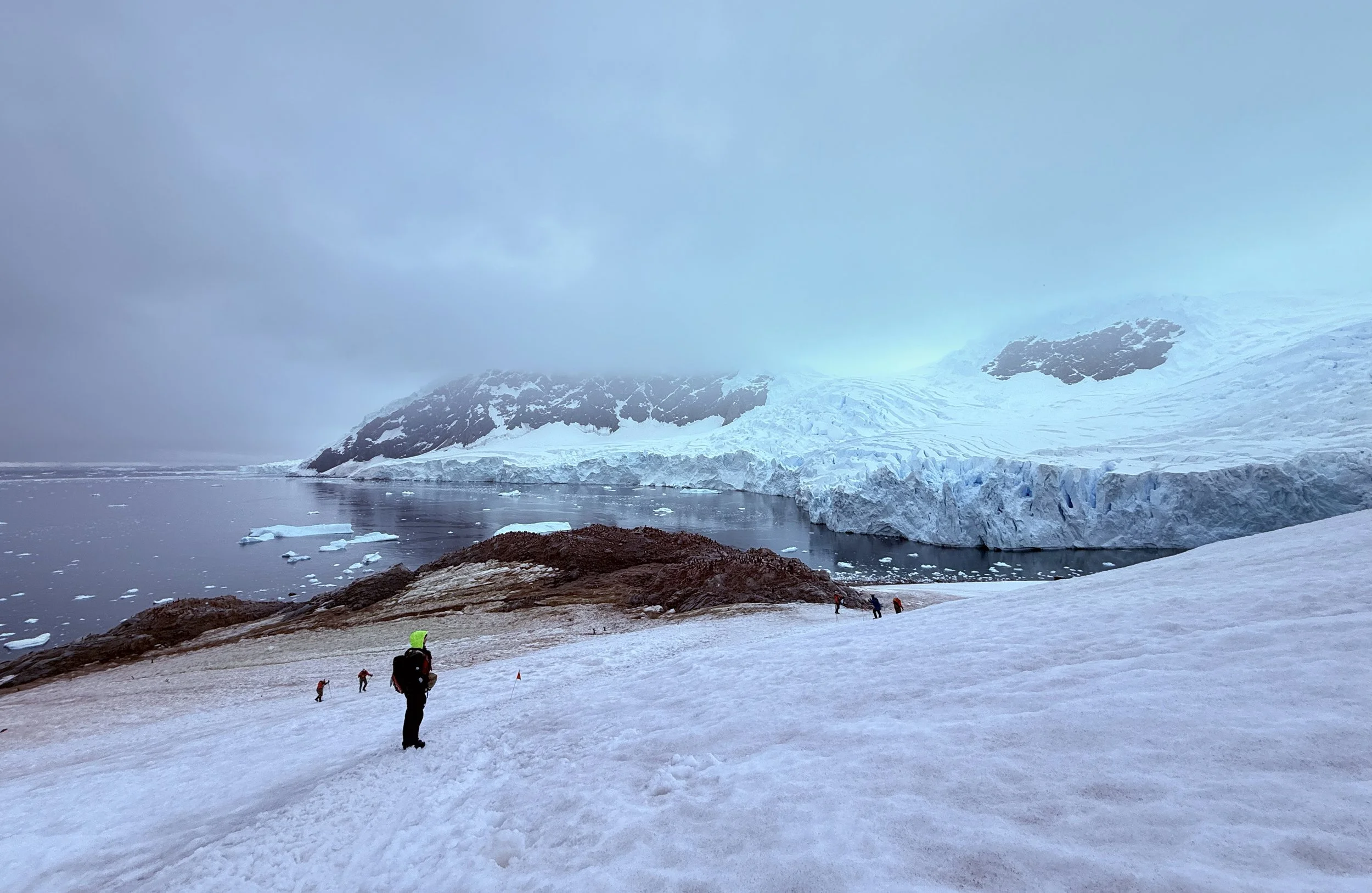 308 @the 7th Continent 